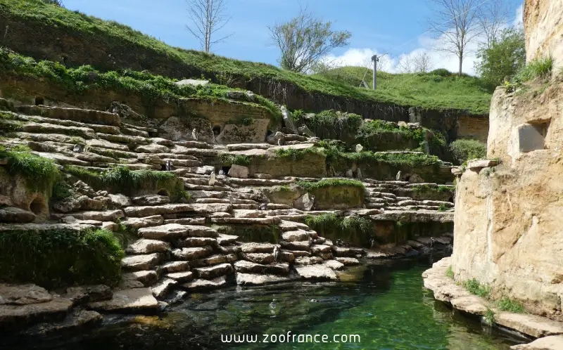 Bioparc Doué la Fontaine zoo tarifs