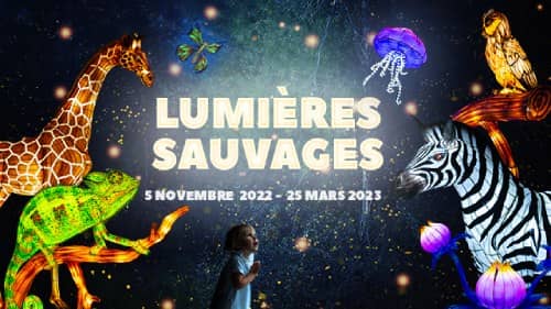 Festival Lumieres Sauvages Safari Peaugres 2022 2023