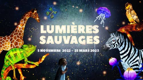 Festival Lumieres Sauvages Safari Peaugres 2022 2023 Festival Lumieres Sauvages Safari Peaugres 2022 2023