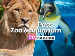 Pass Zoo Aquarium Pass Zoo Aquarium