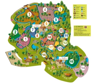 Plan vallée des singes