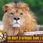 Réserve africaine Sigean tarifs horaires ouverture