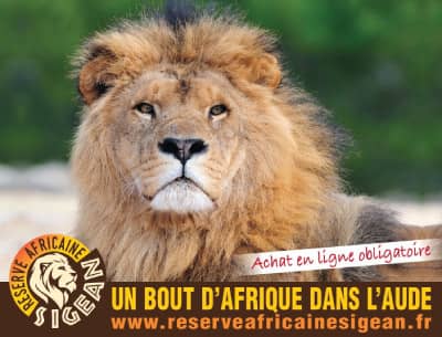 Réserve africaine Sigean tarifs horaires ouverture