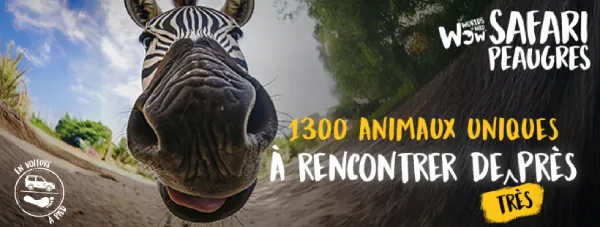 Safari de Peaugres 2025