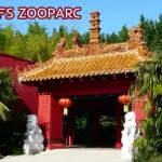 Tarifs billets Zoo de Beauval