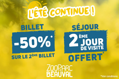 Vente Flash Beauval Eté continue 2026