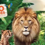 Zoo Jurques tarifs ouverture 2024