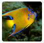 aquarium saint malo billet promo aquarium saint malo billet promo