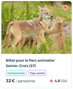 billets parc sainte croix funbooker 2025
