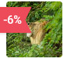 zoo thoiry réduction billet