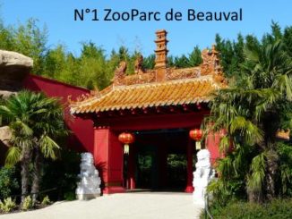classement zoo france fréquentation
