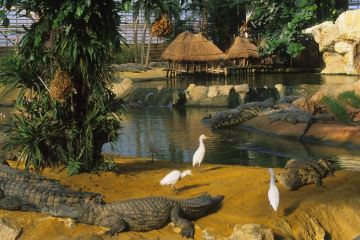 ferme aux crocodiles ouverture tarifs