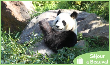 hotels Zoo de Beauval tarifs chambres séjours avis