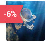 oceanopolis reduction billet