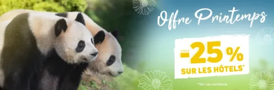 offre printemps 2025 hôtels Beauval