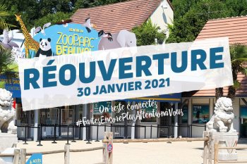 ouverture zoo beauval 2021