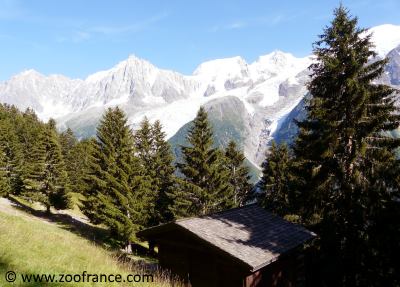 parc de merlet les houches tarif horaires