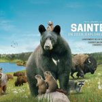 parc sainte croix 2019 tarifs ouverture horaires