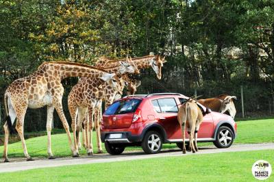 Planète Sauvage ouverture tarifs zoo nantes