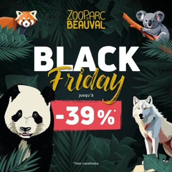 promo beauval black friday 2024