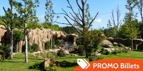 promo Zoo Beauval billet moins cher 2025