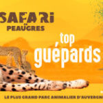 safari de Peaugres ouverture tarif nouveautes
