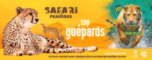 safari peaugres promo
