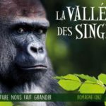 vallée des singes ouverture horaires tarifs