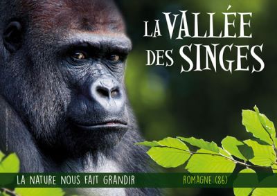 vallée des singes ouverture horaires tarifs