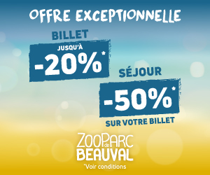 vente Flash voila l'été Zoo Beauval 2026