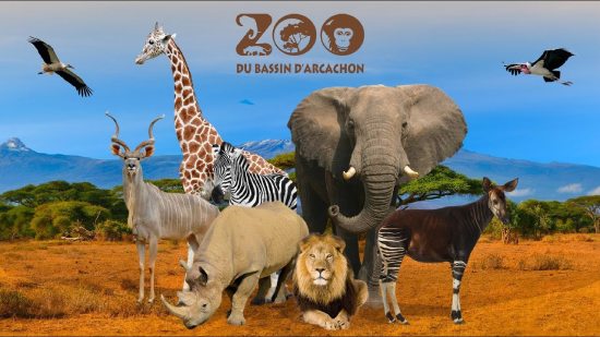 zoo bassin arcachon tarifs horaires 2025