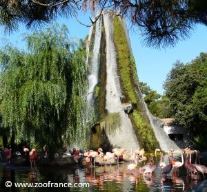 zoo de la palmyre ouverture horaires tarifs 2025