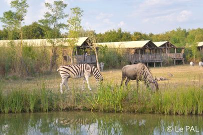zoo le PAL tarif horaire 2024