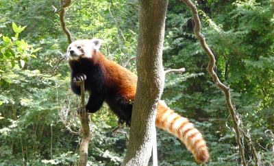 Zoo de Lille ouverture tarifs horaires 2025