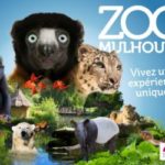 zoo de mulhouse ouverture tarif horaire