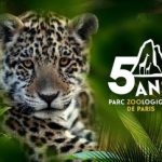 zoo paris vincennes 2019 tarifs horaires