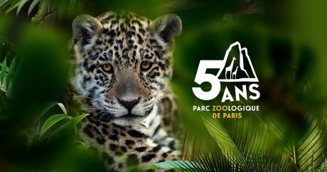 zoo paris vincennes 2025 ouverture tarifs horaires