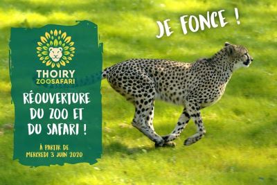 zoo thoiry ouverture 2020 tarif billet zoo thoiry ouverture 2020 tarif billet