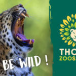 zoo thoiry safari ouverture horaires tarif