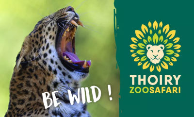 zoo thoiry safari ouverture horaires tarif