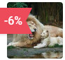 zoo beauval reduction billet