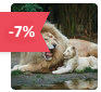 zoo beauval reduction billet zoo beauval reduction billet